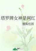 塔罗牌博主排名
