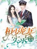 重生九零恒少宠妻实录免费阅读