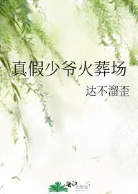 真假少爷火葬场by发条橘