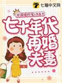 七十年代再婚夫妻免费观看