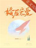 婚后宠妻文古言