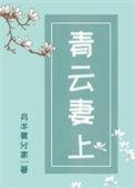 青云妻上月半 笔趣阁最新章节