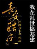 我在乱世做权臣简介
