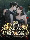 闪婚大叔宠妻上瘾免费阅读