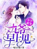 幸孕霸宠九爷早上见百度