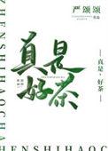 真是好茶晋江