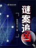 谜案追凶百度百科