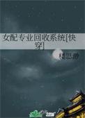 专业女配手册txt
