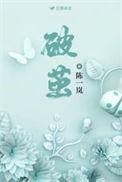 破茧为光