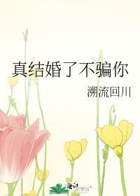 真结婚了不骗你 溯流回川