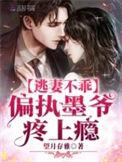 墨少轻宠小逃妻全文免费阅读