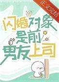 闪婚对象是前男友上司解冻湖水