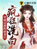 穿成反派前妻穿书
