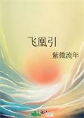 飞凰引陆九郎身世