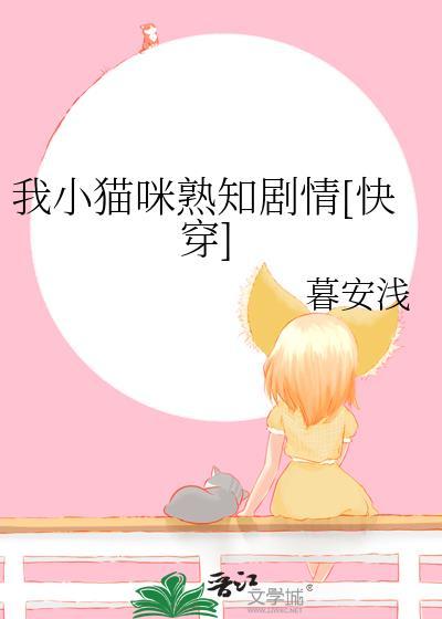 我的小猫咪该怎么办