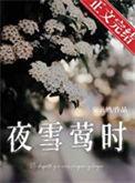 讲解夜雪