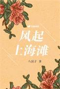 风起上海滩全集免费观看合集