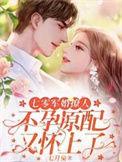 七零军妻不可欺全文免费阅读