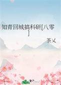 知青回城工作