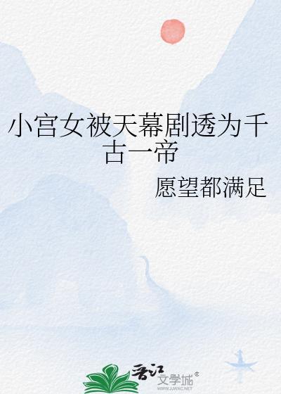 小宫女皇上的