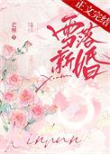 雪落新婚秦昕TXT