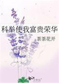 科举让我富贵荣华无防盗
