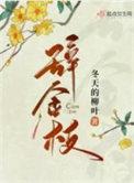 辞金枝 冬天的柳叶好看吗