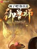 御兽师时代