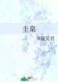 圭臬(gui nie)是什么意思