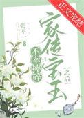 宝玉摔玉故事