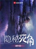 隐秘死角TXT百度
