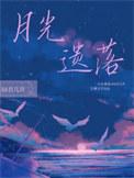 月光落境