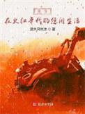 重生之火红的年代