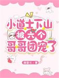 小道士下山小
