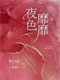 夜色靡靡免费阅读
