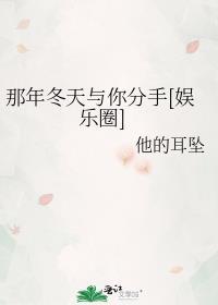 那年冬天我与你分手