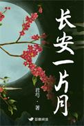 子夜吴歌长安一片月