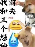 我和三个怨种前夫全文免费阅读