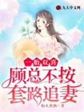 总裁娶妻套路深免费阅读