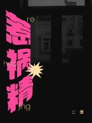 惹祸精讲的什么