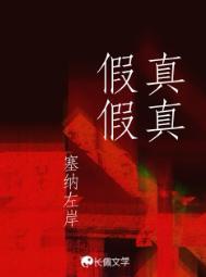 真真假假的世界