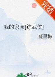 我的家园综武侠