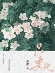 只要她破镜重圆星洸