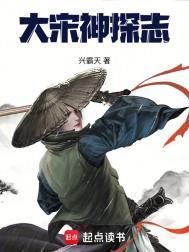 大宋侦缉档案