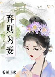 弃则为妾讲了什么