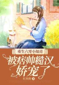 重生六十年代知青小军嫂