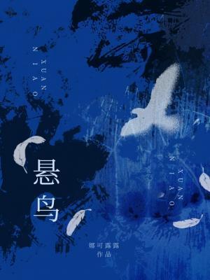 悬鸟到底讲了什么内容