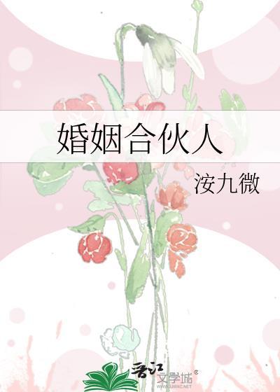 婚姻合伙人全集
