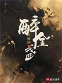 醉金盏TXT资源