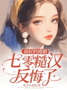 说好的离婚呢星际